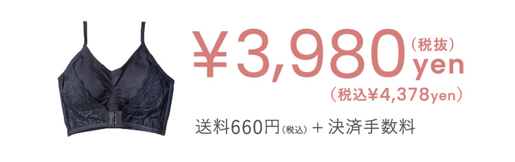 ¥3,980(税抜)